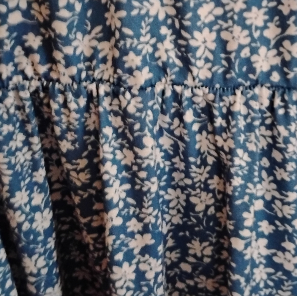 BloomChic Blue Floral Dress (12) - Picture 6 of 7